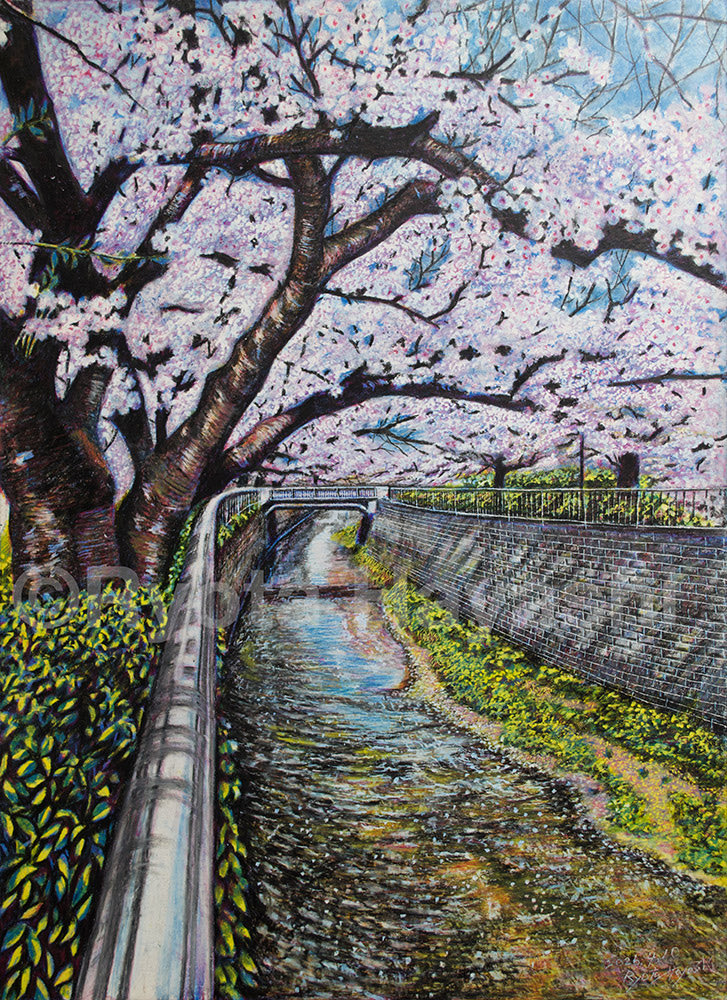 林 亮太　色鉛筆画家 tweet media