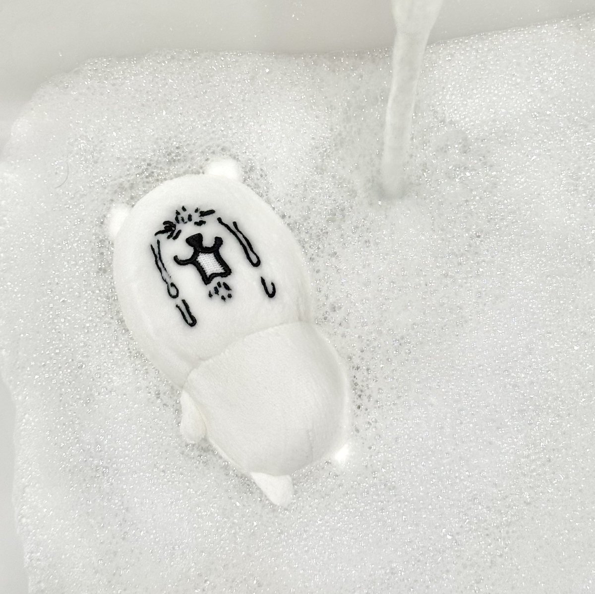 어제 바다에 빠진 관계로 목욕중🛁🫧😭