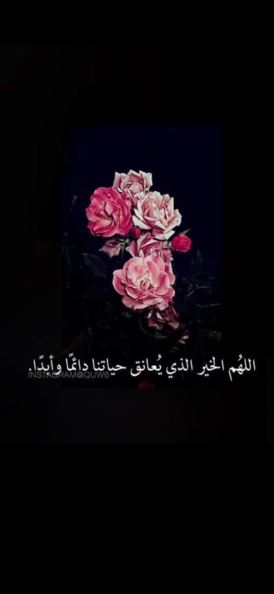 عطر الورد tweet media