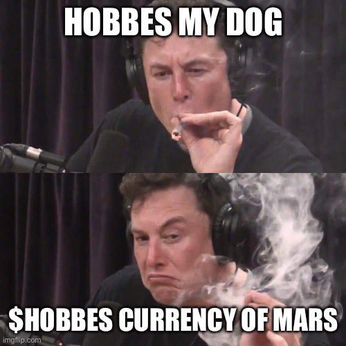 Hobbes tweet media