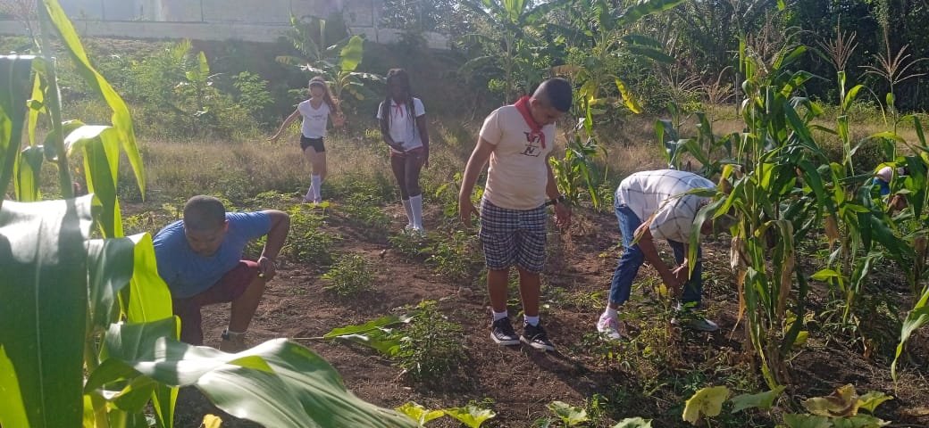 deborsh46440's tweet photo. #EducacionGuanabacoa.Lograr Soberanía alimentaria en las instituciones educativas, constituye hoy prioridad para trabajadores y estudiantes. https://t.co/zHu0H1mzA6