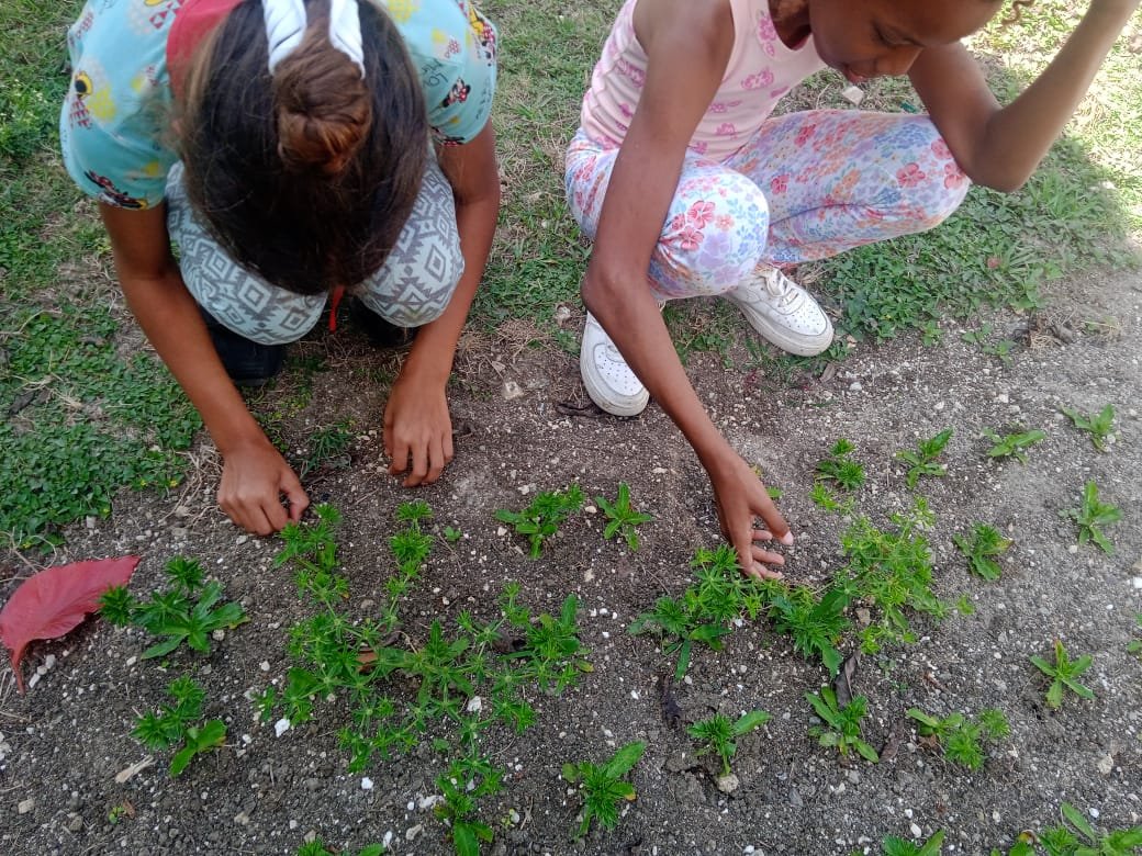 deborsh46440's tweet photo. #EducacionGuanabacoa.Lograr Soberanía alimentaria en las instituciones educativas, constituye hoy prioridad para trabajadores y estudiantes. https://t.co/zHu0H1mzA6