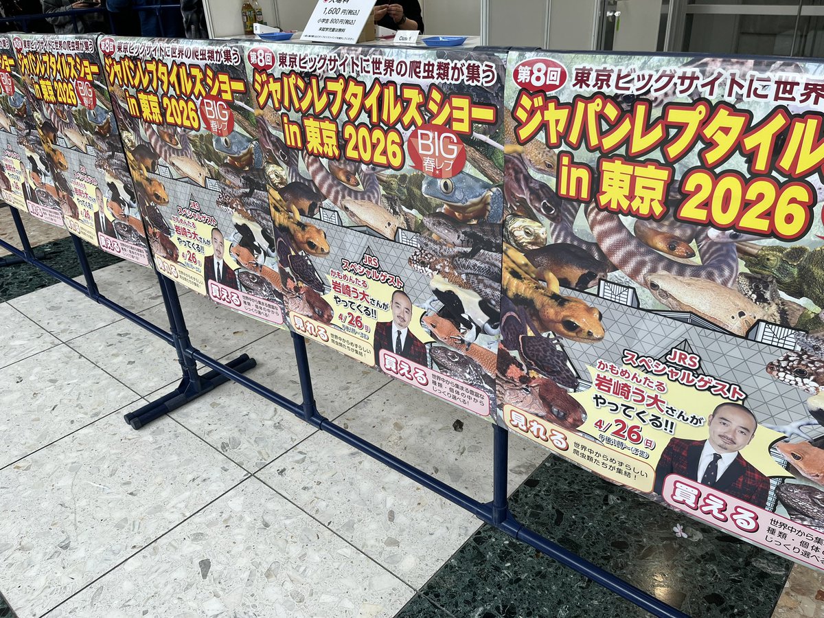 爬虫類ショップ WildMonster tweet media