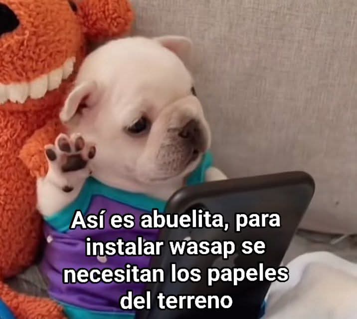 Lonely🥀 (@angelo_uf) on Twitter photo 