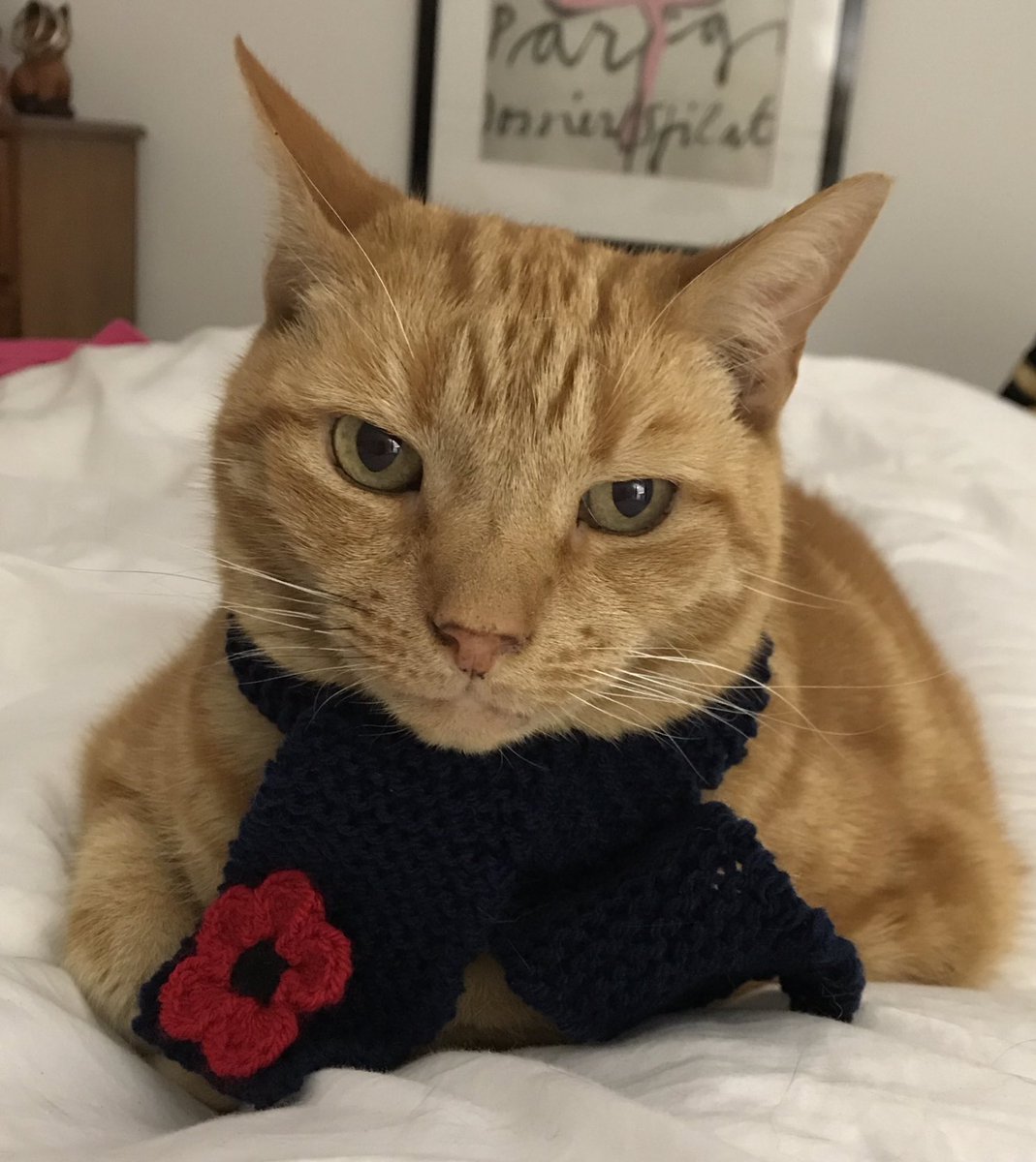 Frisky Le Rouge tweet media