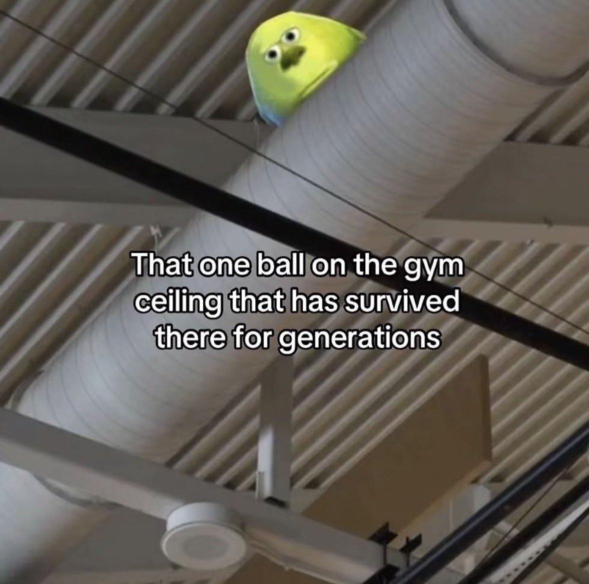 Respectful Memes tweet media