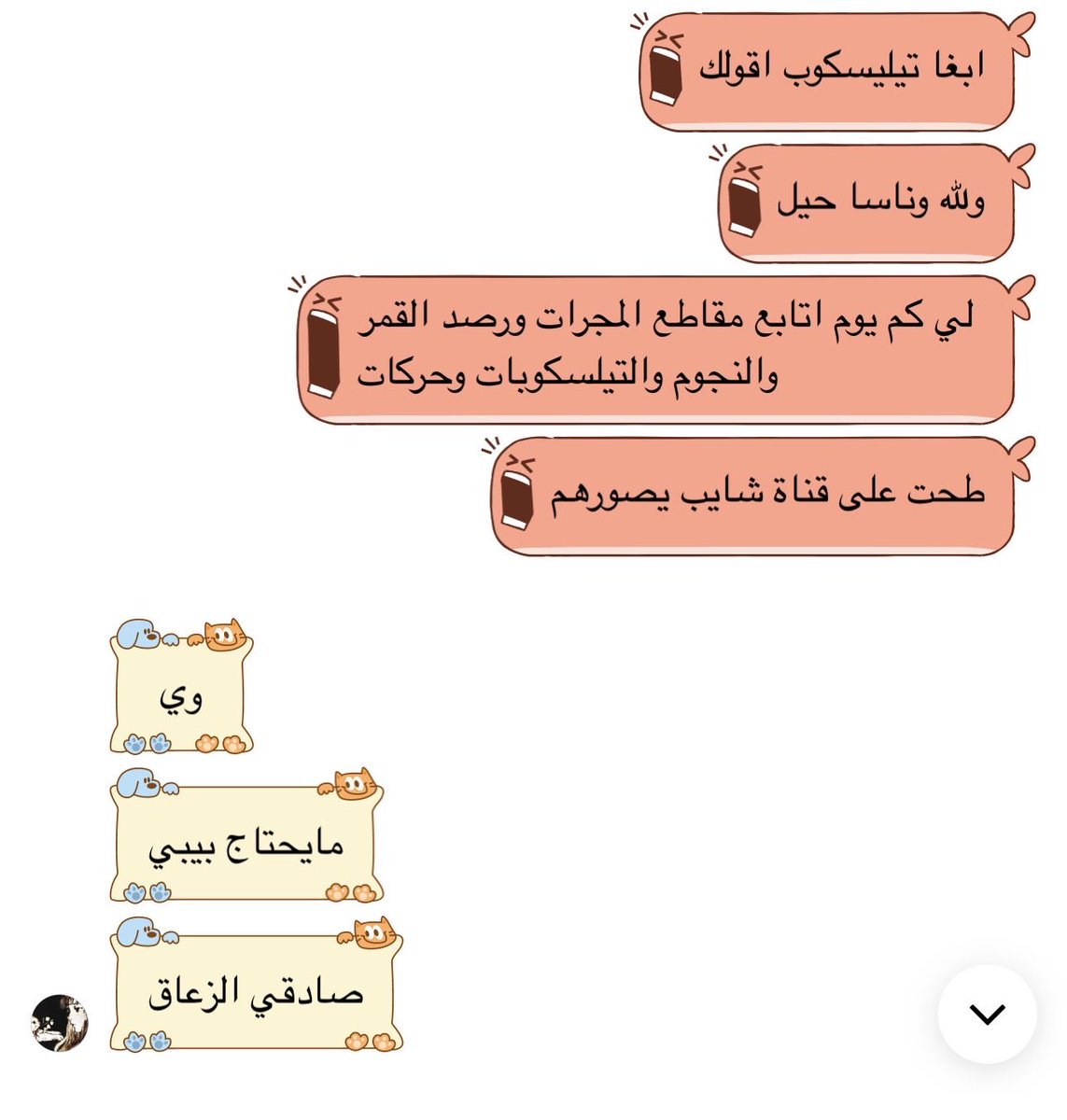 froufroufoxes tweet media