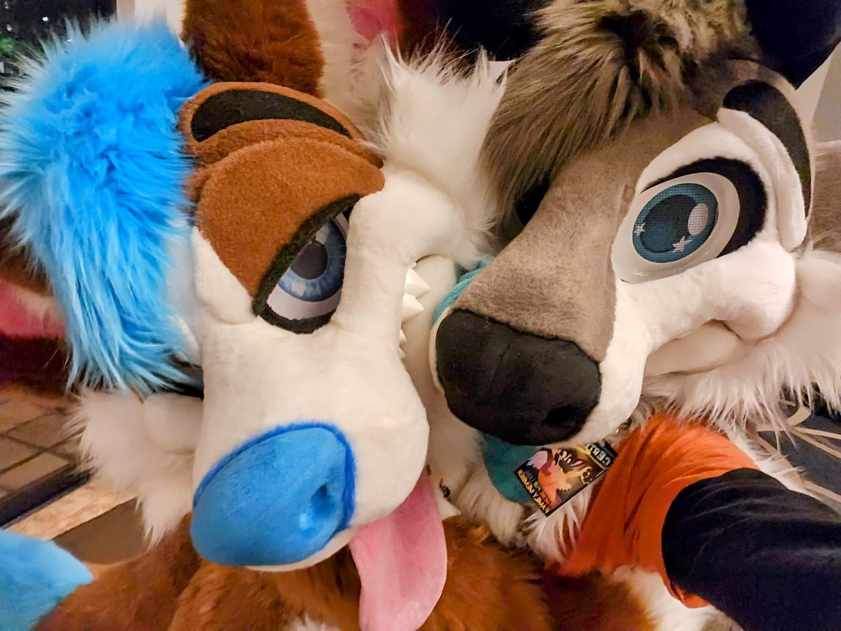 Eclipse🦌➡️FWA/MP tweet media