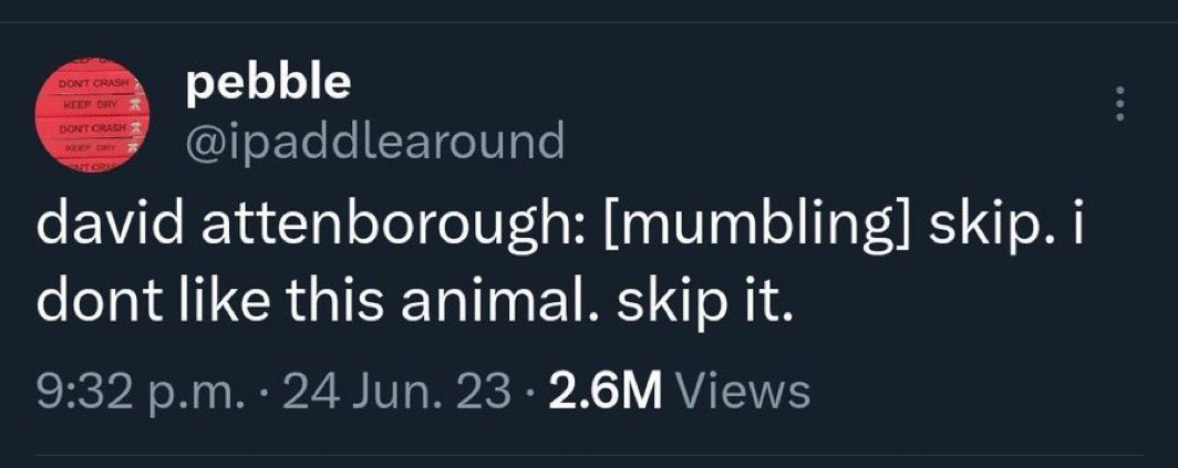 PokéMar 𓅪 tweet media