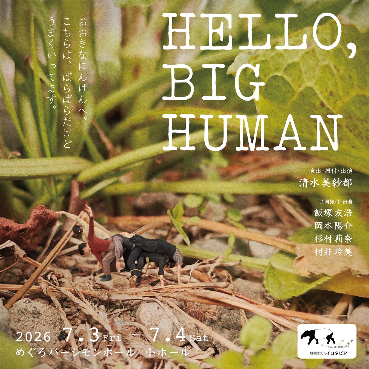 mi5ato5himizu's tweet photo. 『HELLO, BIG HUMAN』
フライヤーが完成しました！！
世界観このままの作品です🐜

7月3日(金)19:30
7月4日(土)13:30 ／ 17:30
めぐろパーシモンホール　小ホール

演出・振付・出演: 清水美紗都
共同振付・出演: 飯塚友浩　岡本陽介　杉村莉奈　村井玲美

詳細&amp;ご予約: https://t.co/FBq91rkVFx https://t.co/yBKziGYrUj