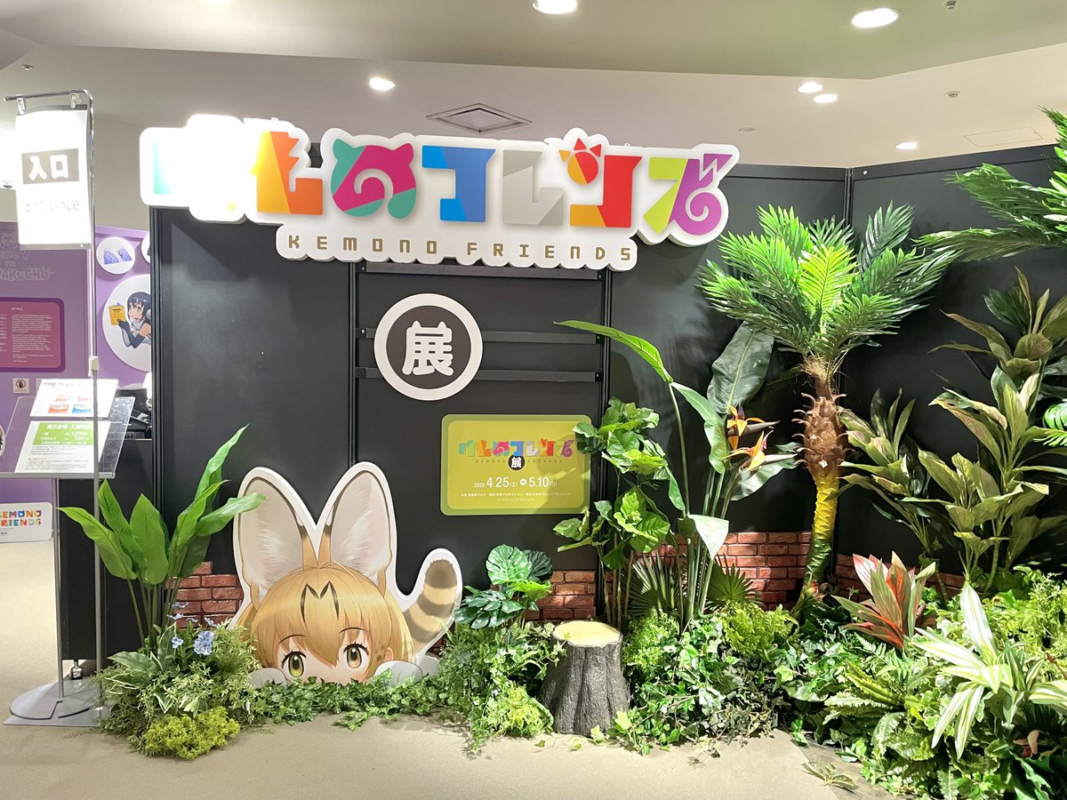 河上明日香 tweet media