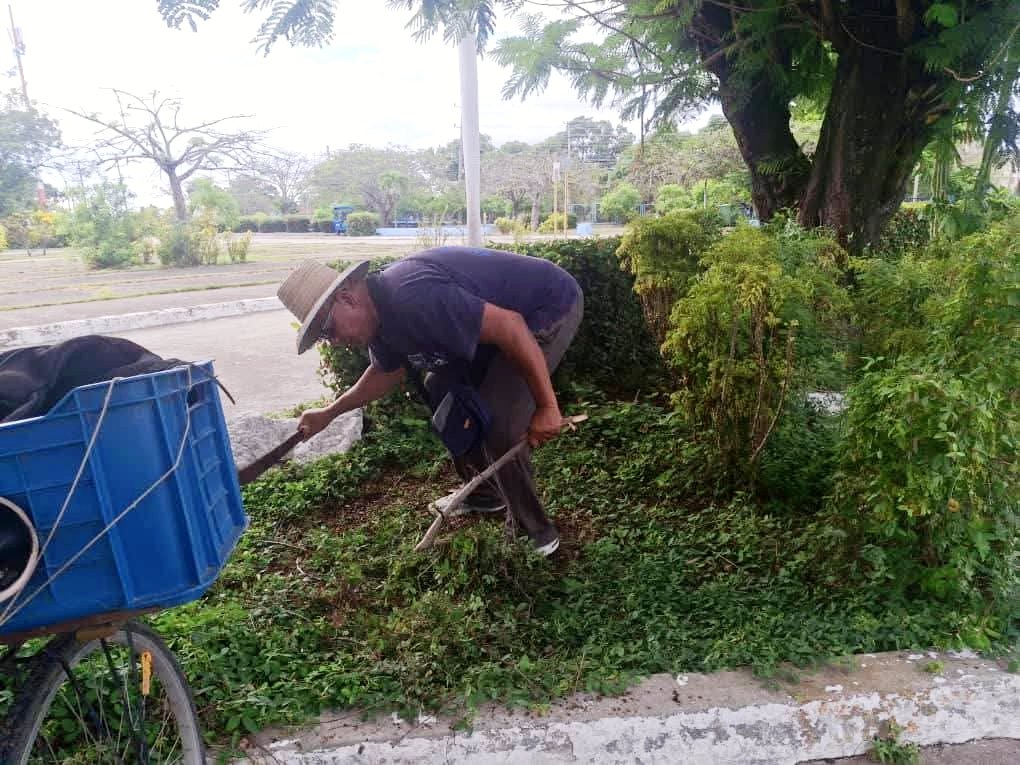 SaludGuantanamo's tweet image. #SaludGtmo/ 📸La #Universidad de #CienciasMédicas #Guantánamo hoy en cambio de labor, en el contexto de la jornada en saludo al #PrimeroDeMayo, Día internacional de los #Trabajadores. Los obreros participaron en labores de higienización y embellecimiento.  
#LaPatriaSeDefiende