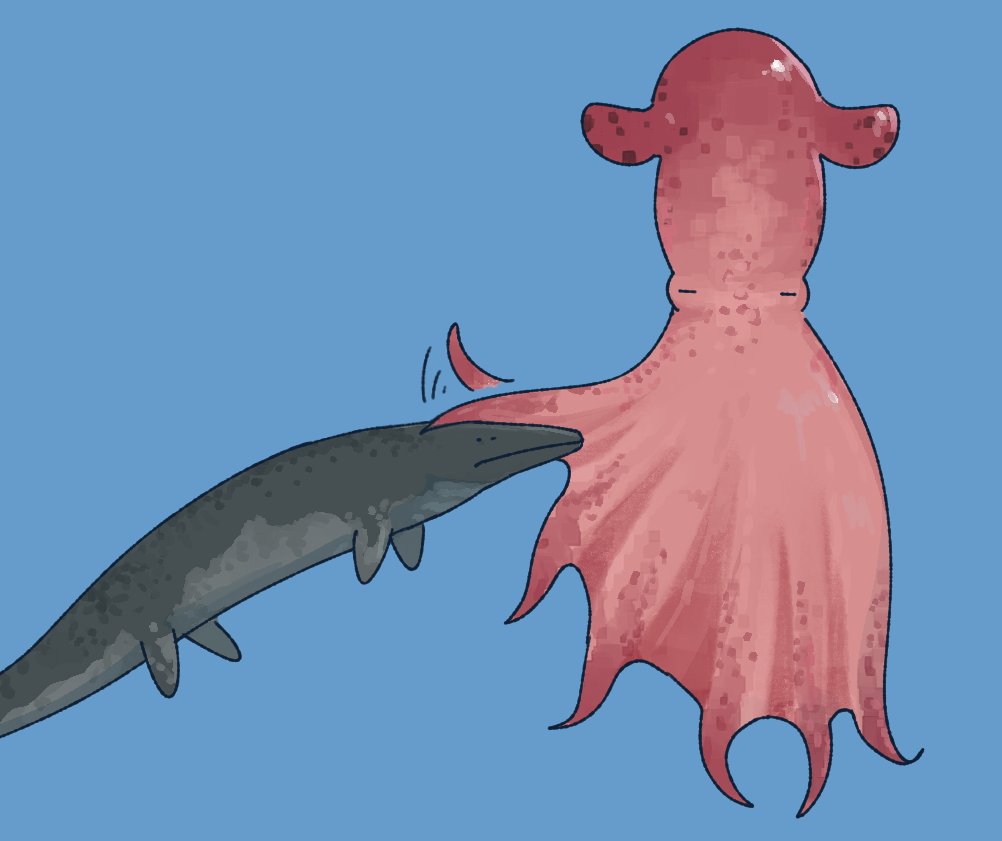 🐻OhmSpino🦕🦖 tweet media