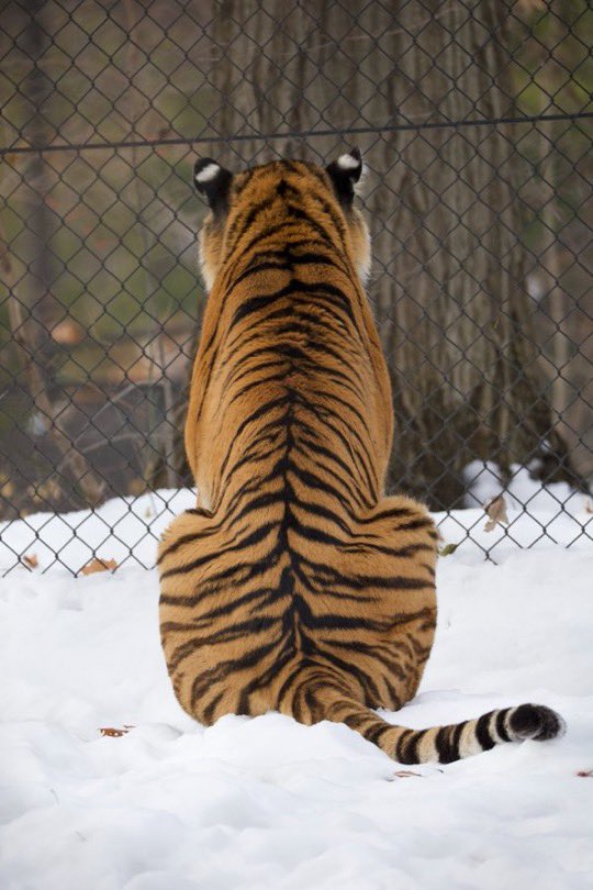 ،̲، ᴬᴸᴸ 𝑮͟𝑼͟𝑻͟𝑺 ⨯ ᴺᴼ 𝐆𝐋꩜𝐑͟𝐘 tweet media