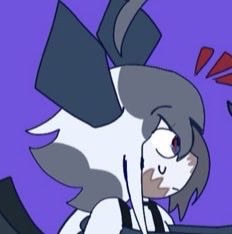 Sean and others ⚡️ tweet media