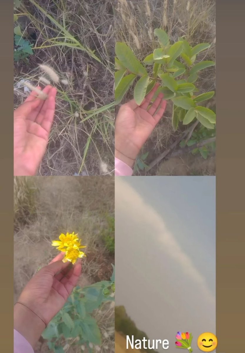IshuVerma0001's tweet photo. Good morning!!! 🌄 ❣️
।। सुप्रभात वंदन।।🙌✨
उठ गये सभी 🙃
आपका दिन शुभ हो 🙌 🤗 🙏
#Keep_smiling 😍🤩 https://t.co/e5AxRI7LMl