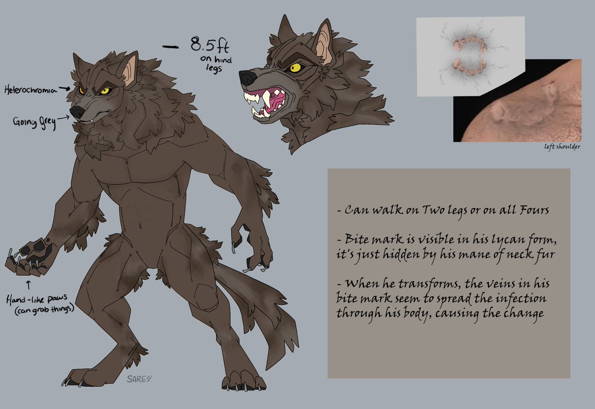 𝙲𝚘𝚍𝚎 𝙰𝚕𝚙𝚑𝚊 tweet media