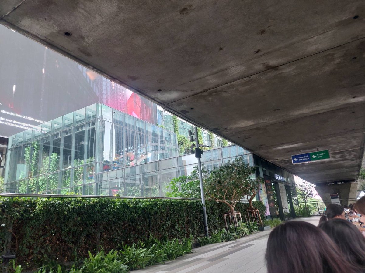 🐈‍⬛📸 tweet media