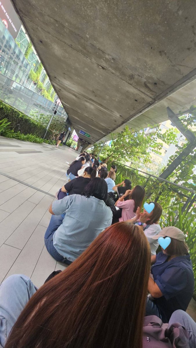 🐈‍⬛📸 tweet media