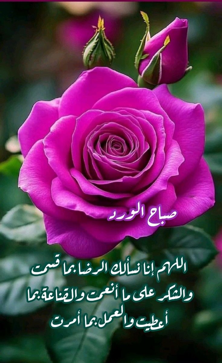 🌸رند حنين الياسمين 🌸 tweet media