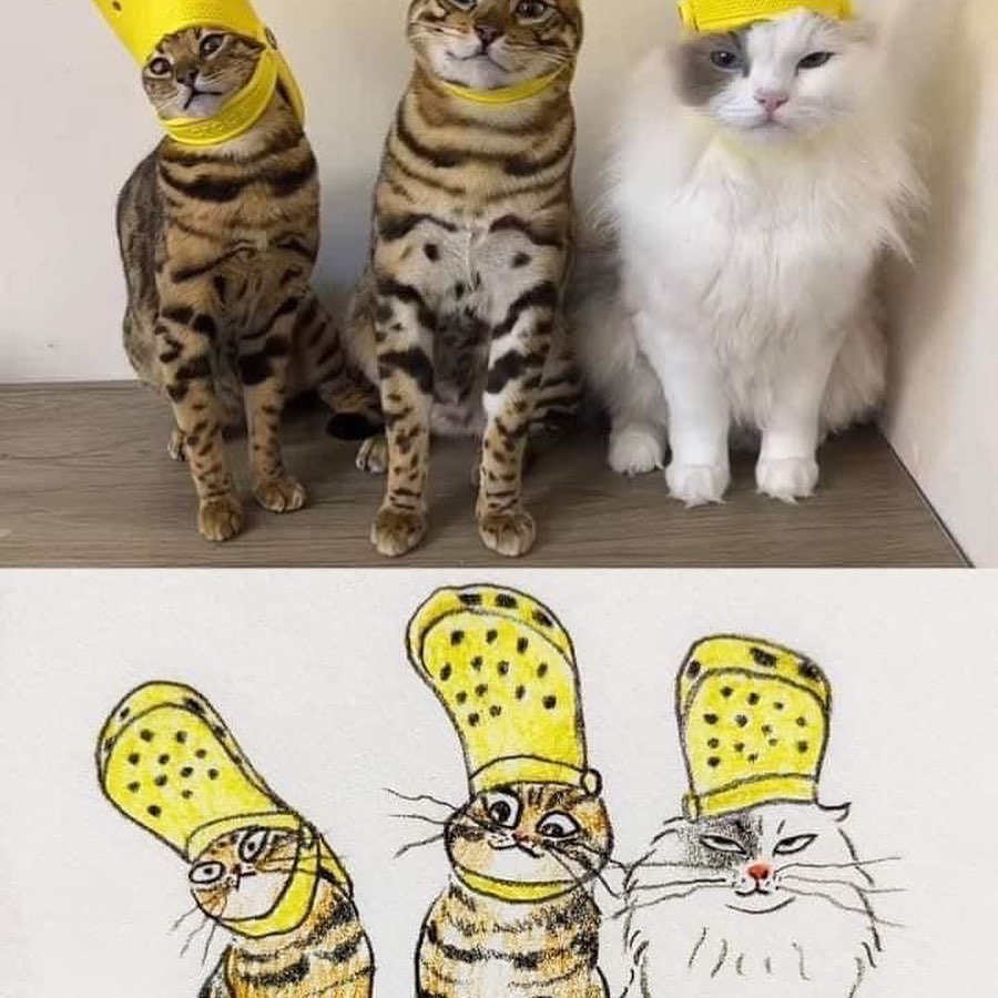 Punch Cat (@punchingcat) on Twitter photo 