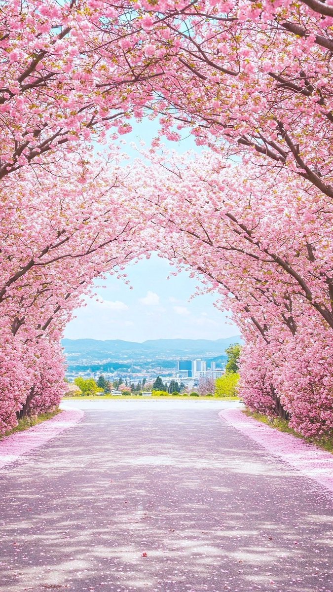 Aesthetics tweet media