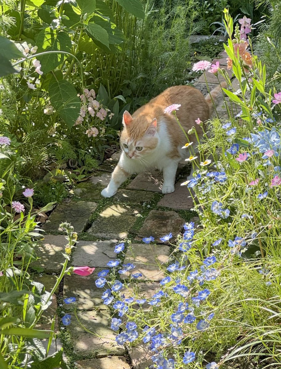 Kathleen tweet media