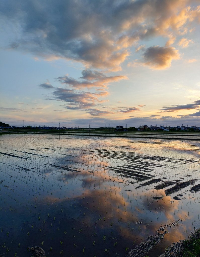 つる _( ˙꒳˙ )_ tweet media