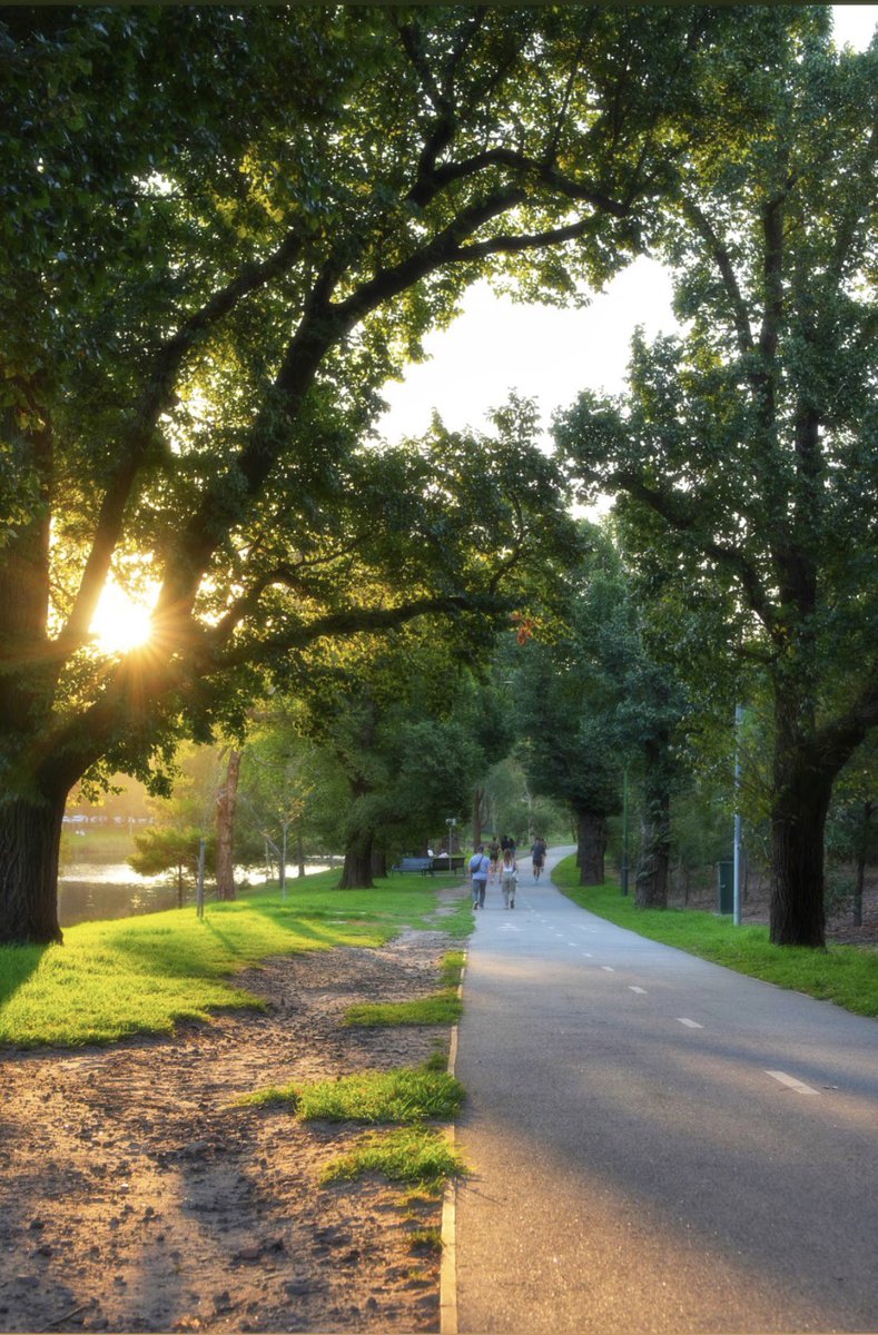 ella 💕 tweet media