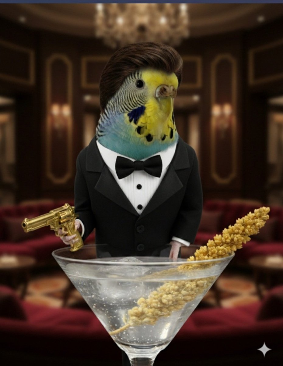 MellowAndGimli's tweet image. Gimli is auditioning for the next Bond movie 🍸🌾
#JamesBond