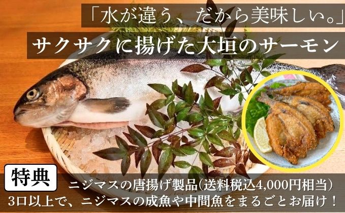 セキュリテ/ミュージックセキュリティーズ tweet media