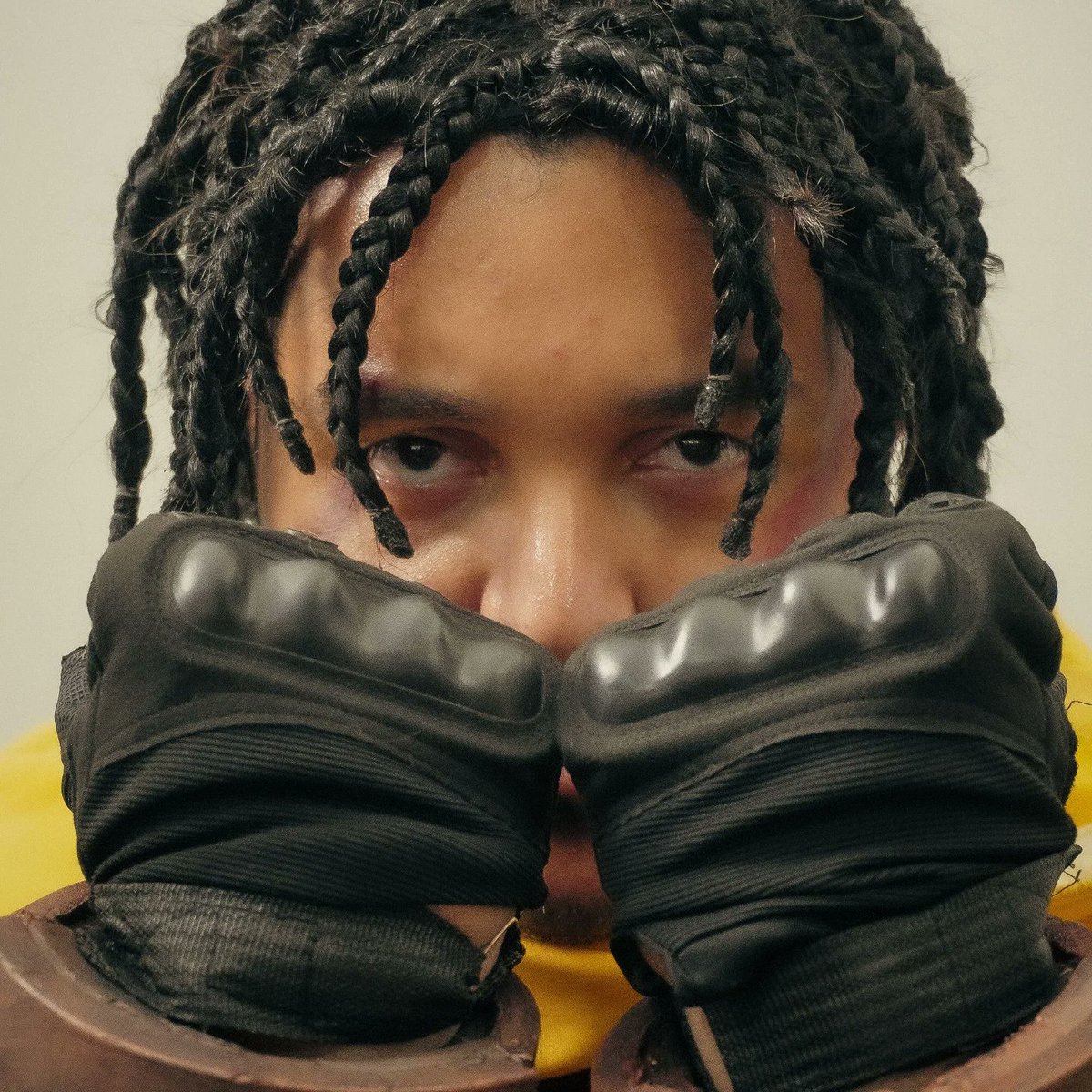 acervo abelha 🐝 tweet media