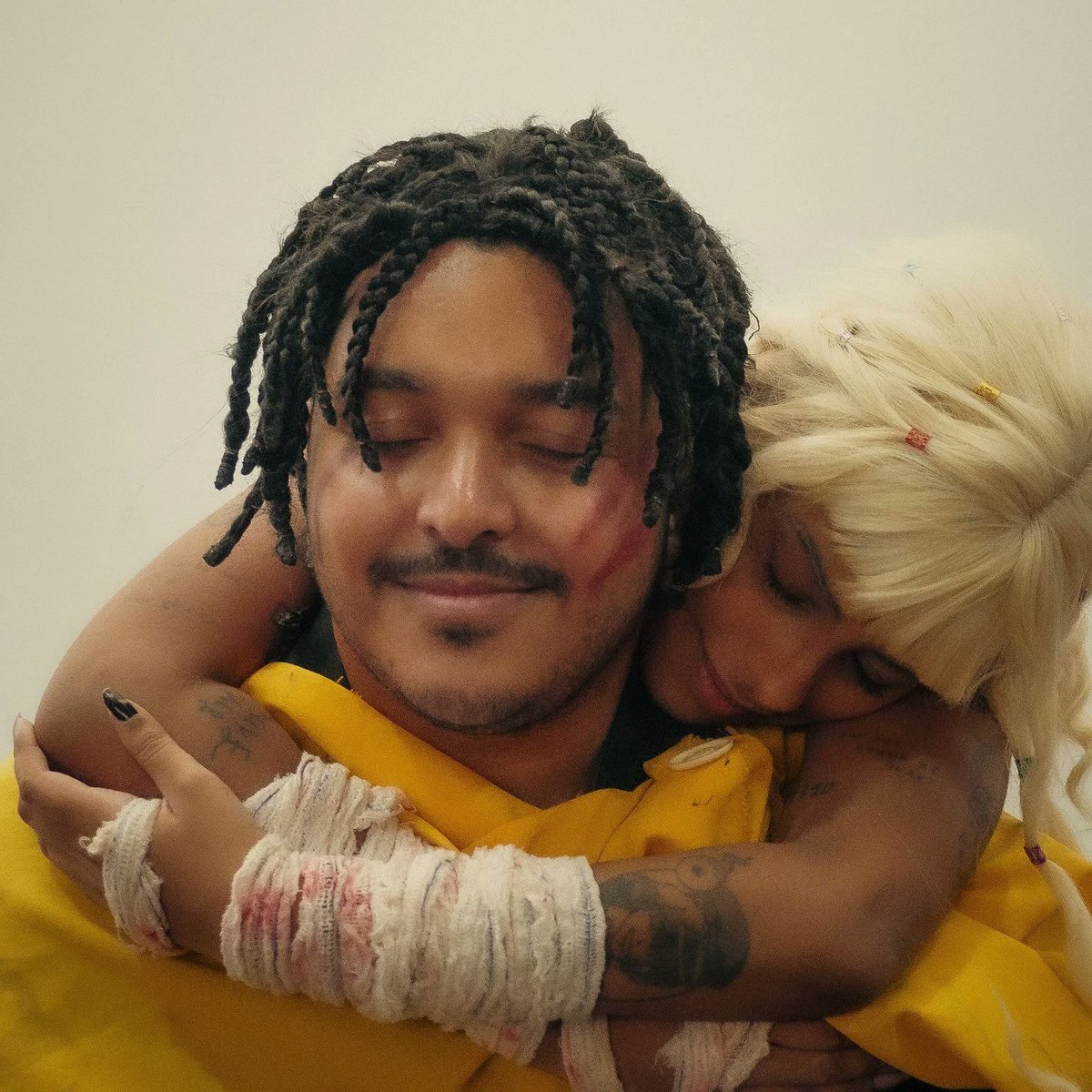 acervo abelha 🐝 tweet media