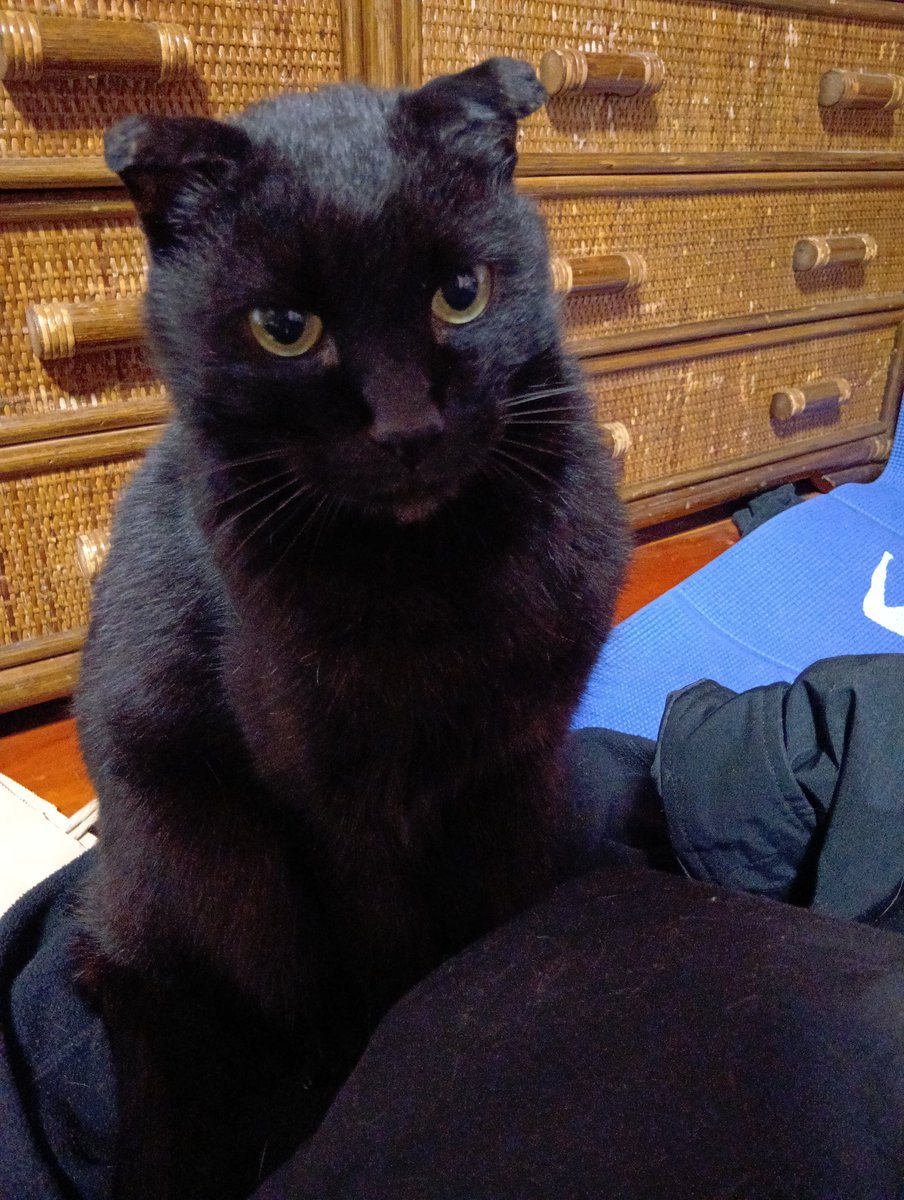 村本シドウ🔞💪 tweet media