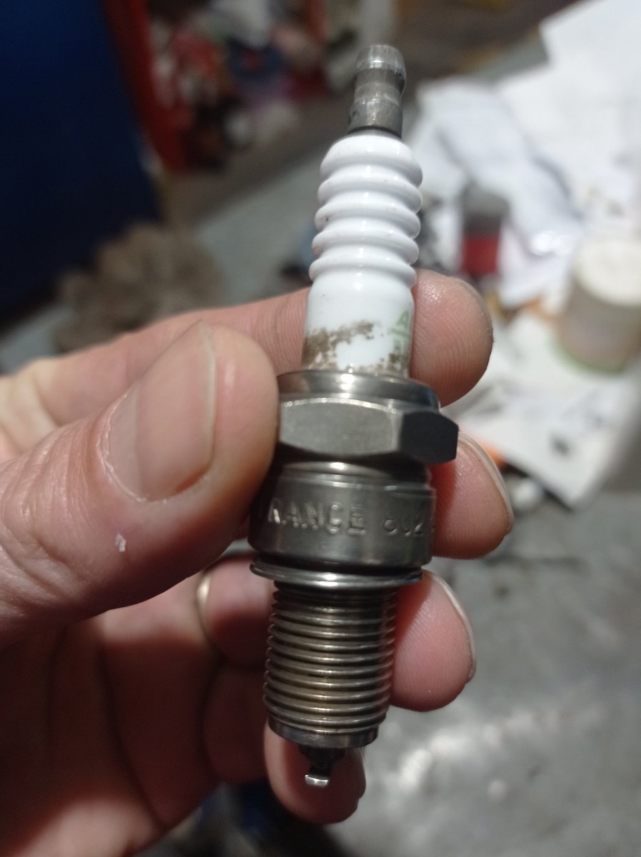 ⚡ Disco tweet media