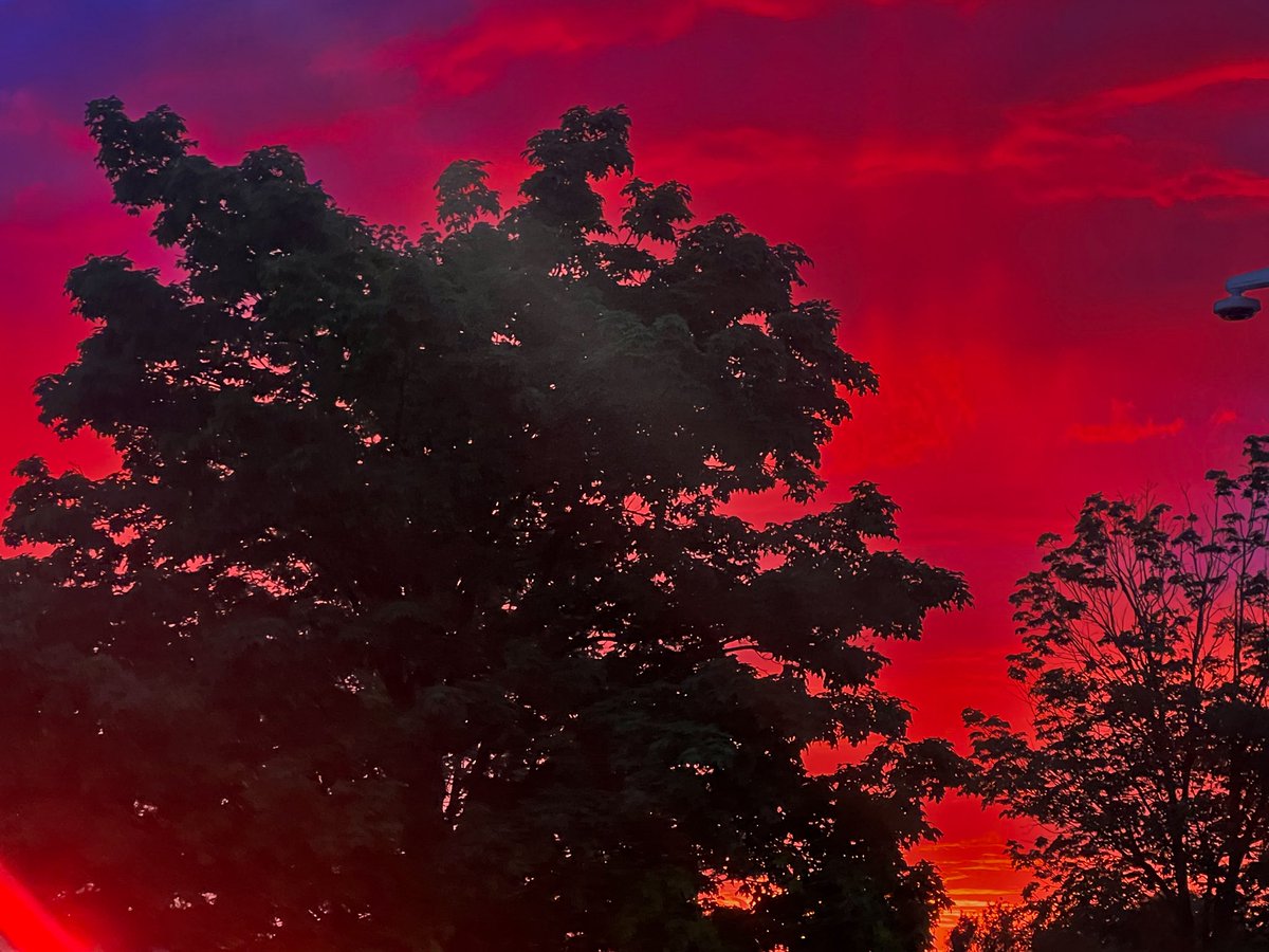 KelseysBees's tweet photo. @WKRN  wow, this sunset tonight kept getting better and better https://t.co/10YgkvOz4j