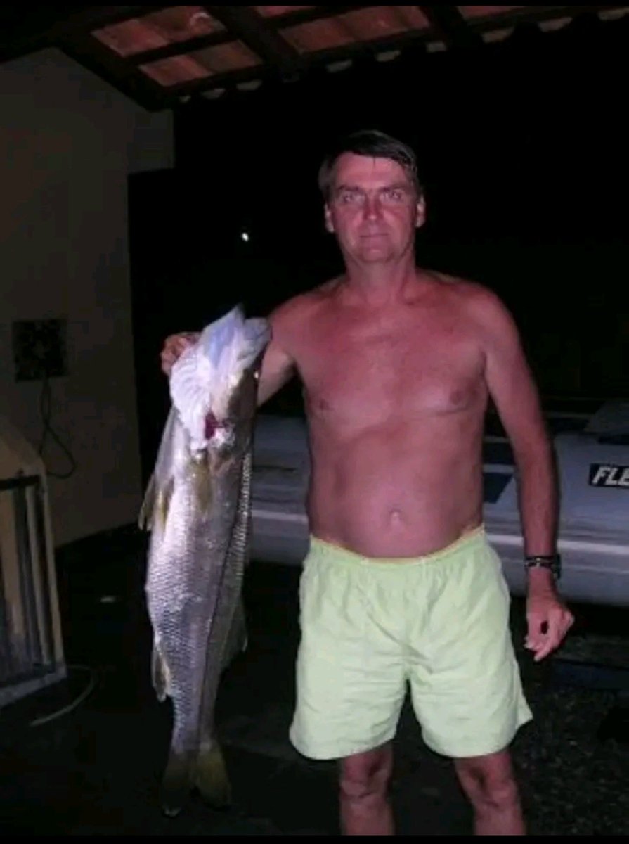 dark 1461🏴‍☠️🇳🇵🟨🐍 tweet media