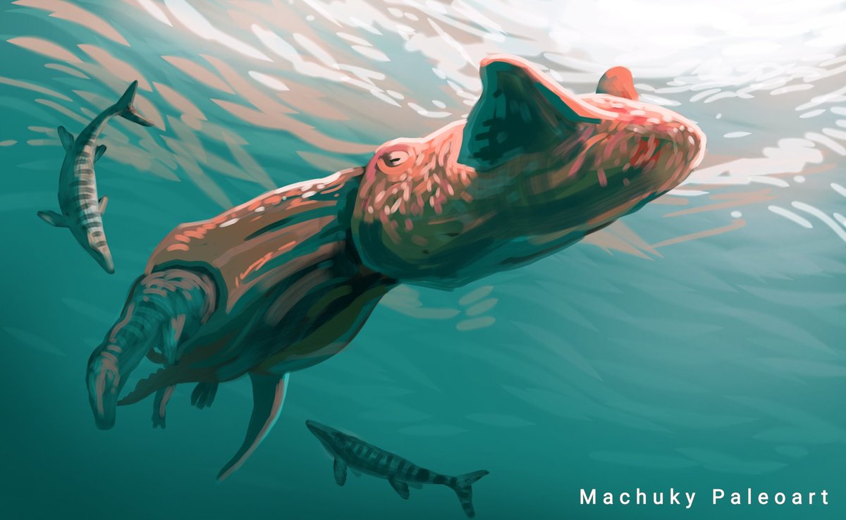machukytakahash's tweet image. Akkorokamui!!Speedpaint del maravilloso Nanaimoteuthis. El folclore ainu relata de un pulpo rojo gigante que habitaba la bahía de Funka en Hokkaido. Imagen d la reciente descripción de este depredador del Cretácico de Japón y Canadá 
#paleoart #paleontology #octopus #kraken #ainu