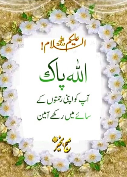 Farooq Malik tweet media