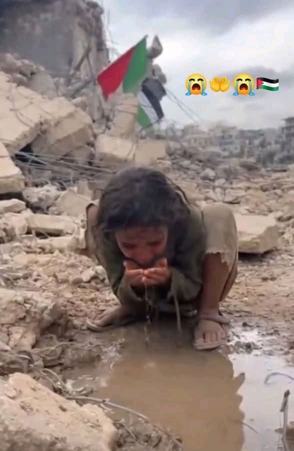 Hawford Group - fullstory365.com (on bluesky) tweet media