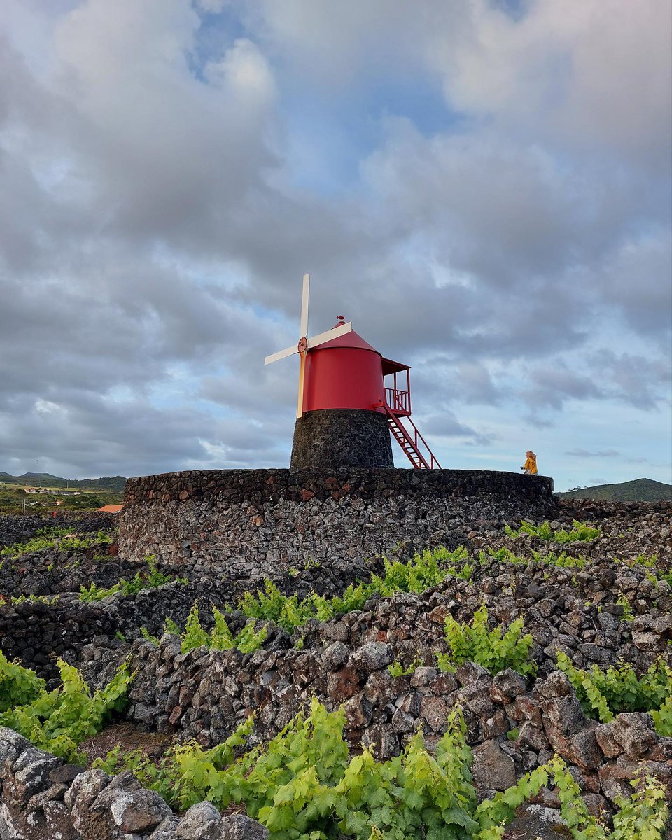 annlilienenxixi's tweet image. Having lived in LA for a long time,
I’ve come to realise more and more that true strength isn’t about making a fuss,
but rather, like this land itself,
taking root in silence and thriving with passion. 🌱
📍 Weekend Getaway from LA
#LifeReflections #LifeInLA #GrowingTowardsTheSun