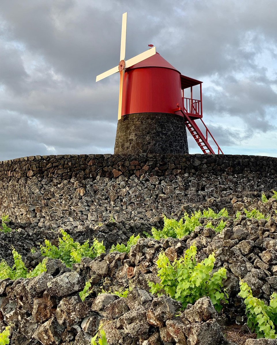 annlilienenxixi's tweet image. Having lived in LA for a long time,
I’ve come to realise more and more that true strength isn’t about making a fuss,
but rather, like this land itself,
taking root in silence and thriving with passion. 🌱
📍 Weekend Getaway from LA
#LifeReflections #LifeInLA #GrowingTowardsTheSun