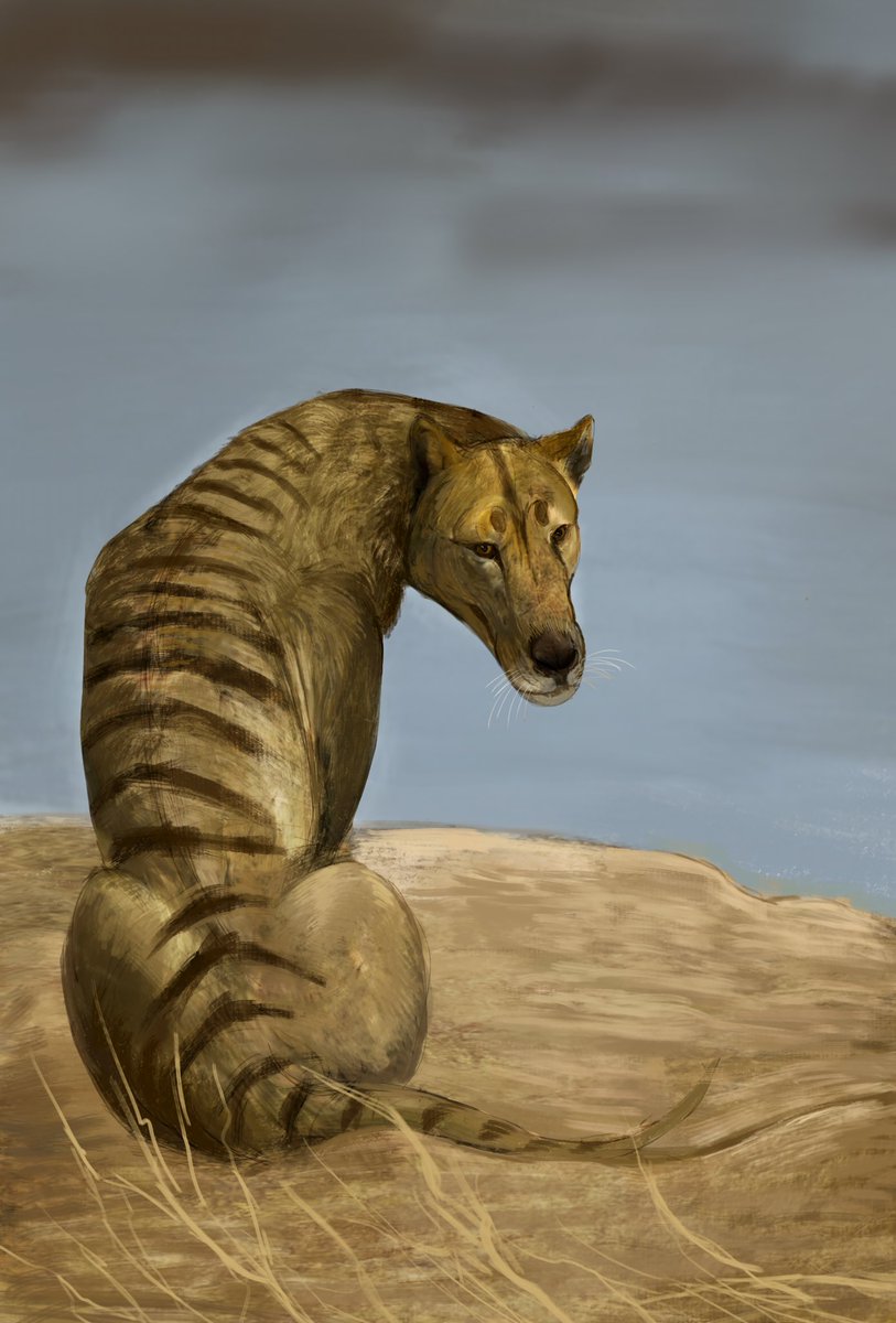 My Mexican Magnamalo Rage (Valk) tweet media