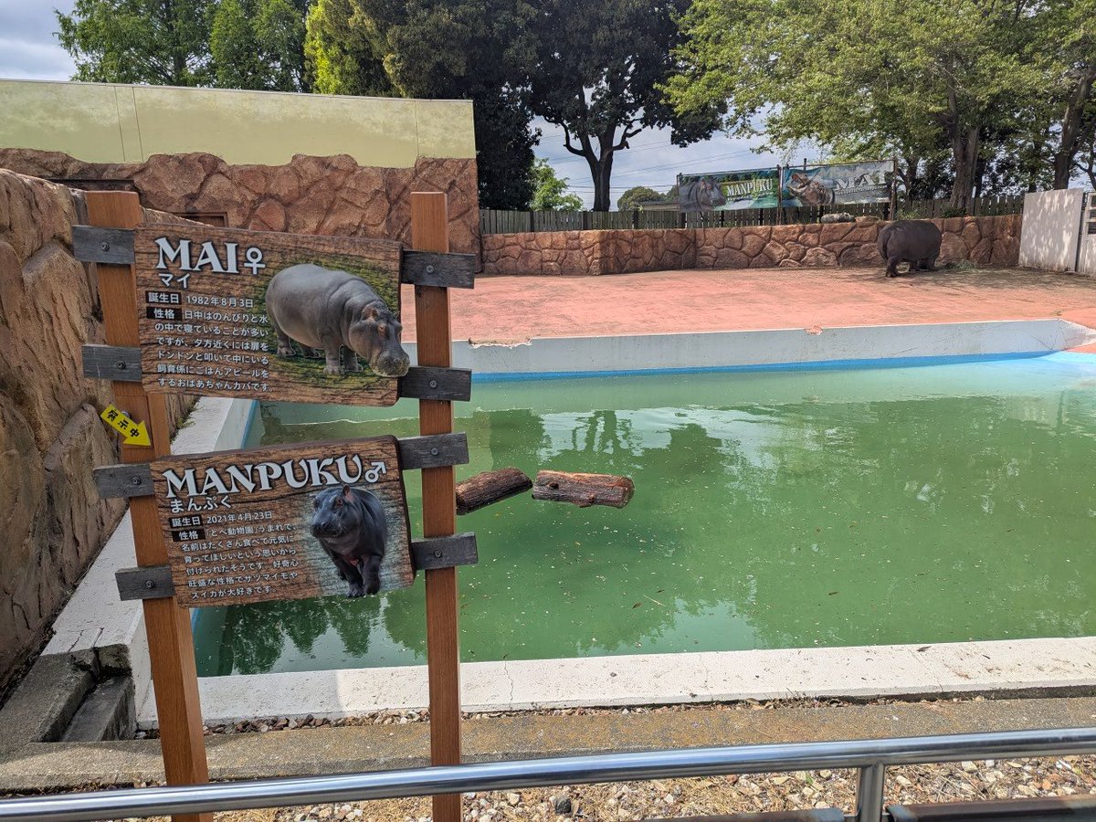 パネルの人 tweet media