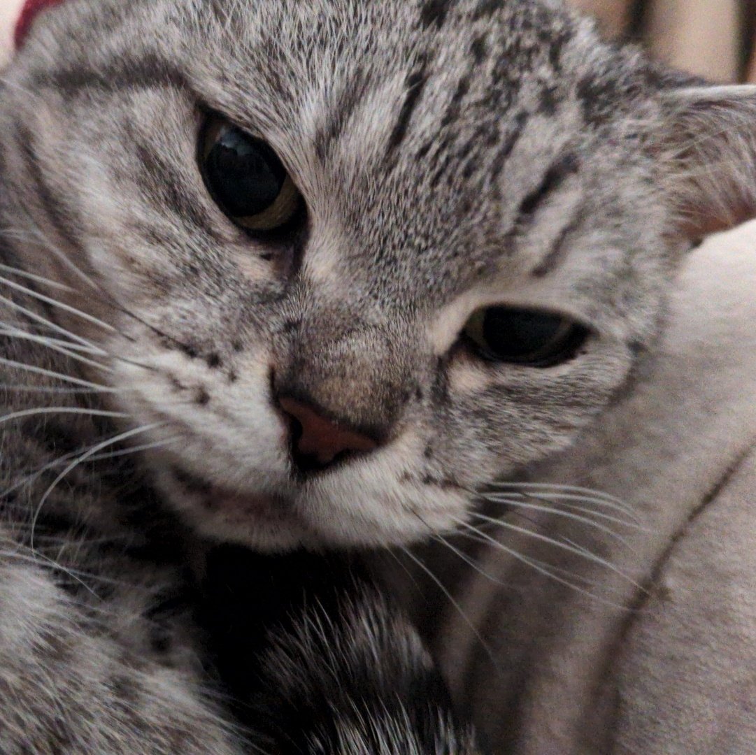 OSM57🌞 tweet media