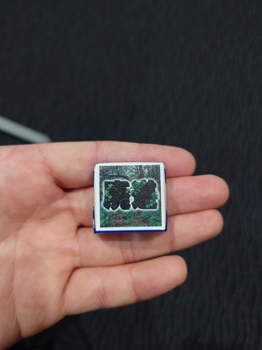 Toy Poodle tweet media