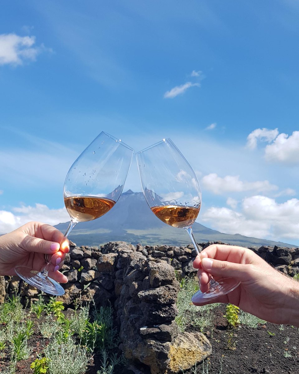 annlienxi's tweet image. Only after crossing mountains and seas do we truly understand the meaning of peace.
In the breeze of LA,
I gaze at the faint glow in my cup and the steadfastness of the distant mountains.

Tags: #LifeReflections #LosAngeles #GrowingTowardsTheSun #HealingScenery #SeasideDiary