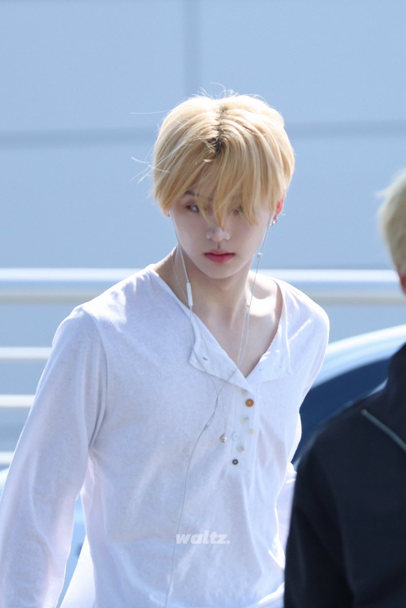 𝙒𝙖𝙡𝙩𝙯. tweet media