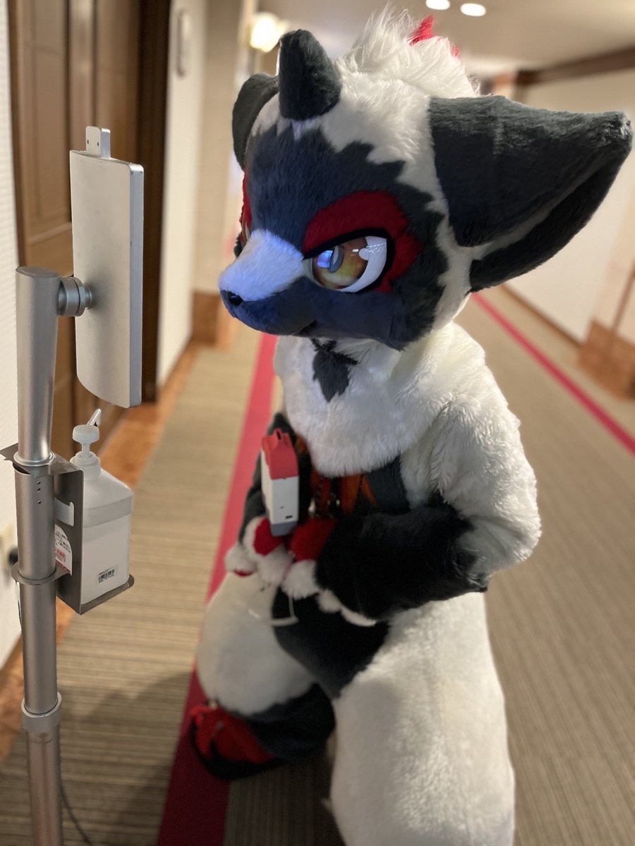 enenkuusetsu's tweet photo. 全然反応しない・・・
 #FursuitEveryday https://t.co/nBdB0WO8sB