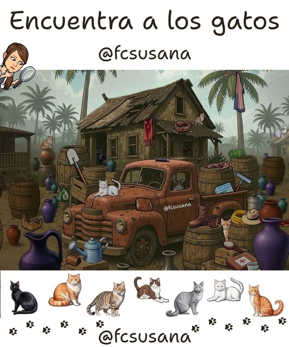 Banda VIP tweet media